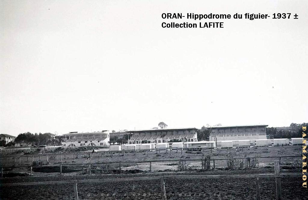 ORAN 1937 HYPPODROME DU FIGIER    (17).jpg